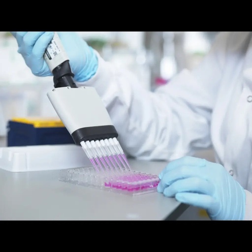 [E0231b] Bovine CDO1 / Cysteine dioxygenase type 1 ELISA Kit
